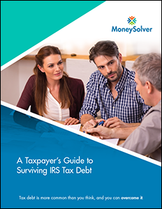 MoneySolver_Taxpayers_Guide