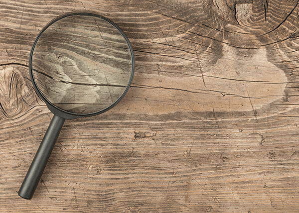Student Loan Process Investigation