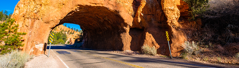 tunnel representing pass-through businesses