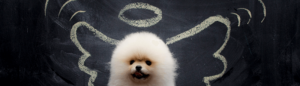 Best Student Loans for New Students That Don't Get You in Trouble Later