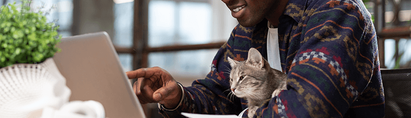 Check out these purrfect scholarships for graduate students.