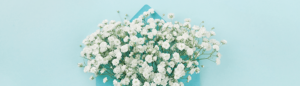 You won't need flowers to win our student loan forgiveness scholarship.