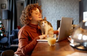 freelance lady on laptop with cat