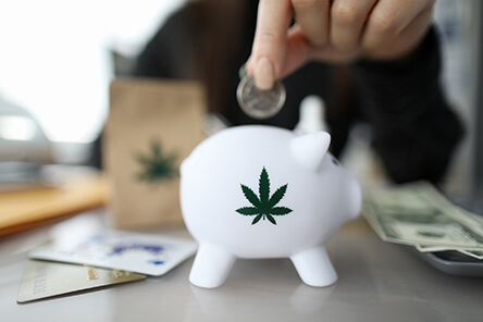 Cannabis Tax and Accounting Services